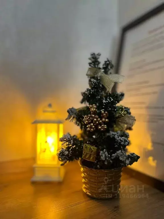 Студия Алтайский край, Барнаул просп. Строителей, 18к1 (17.0 м) - Фото 2