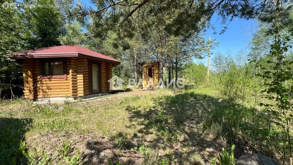 Дом в Петрозаводск, Ивовый проезд (26.2 м) - Фото 2