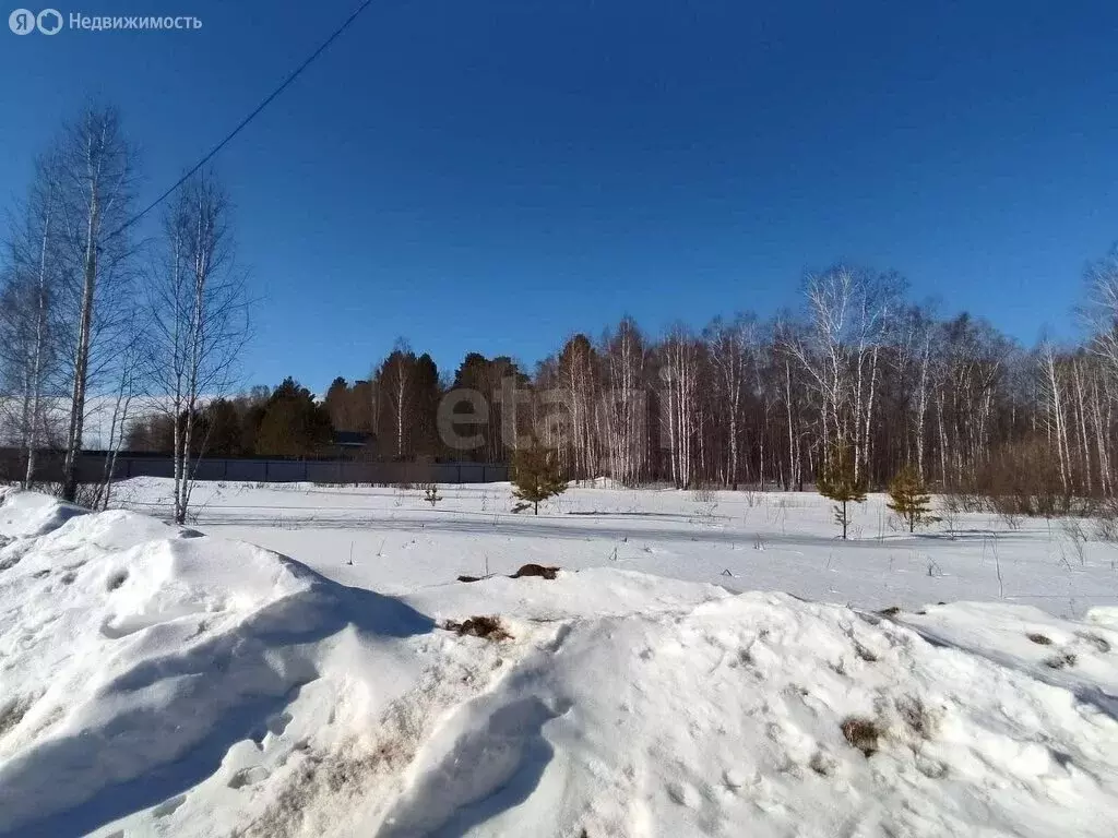 Участок в Тюменский район, дачный посёлок Ежевика (15 м) - Фото 0