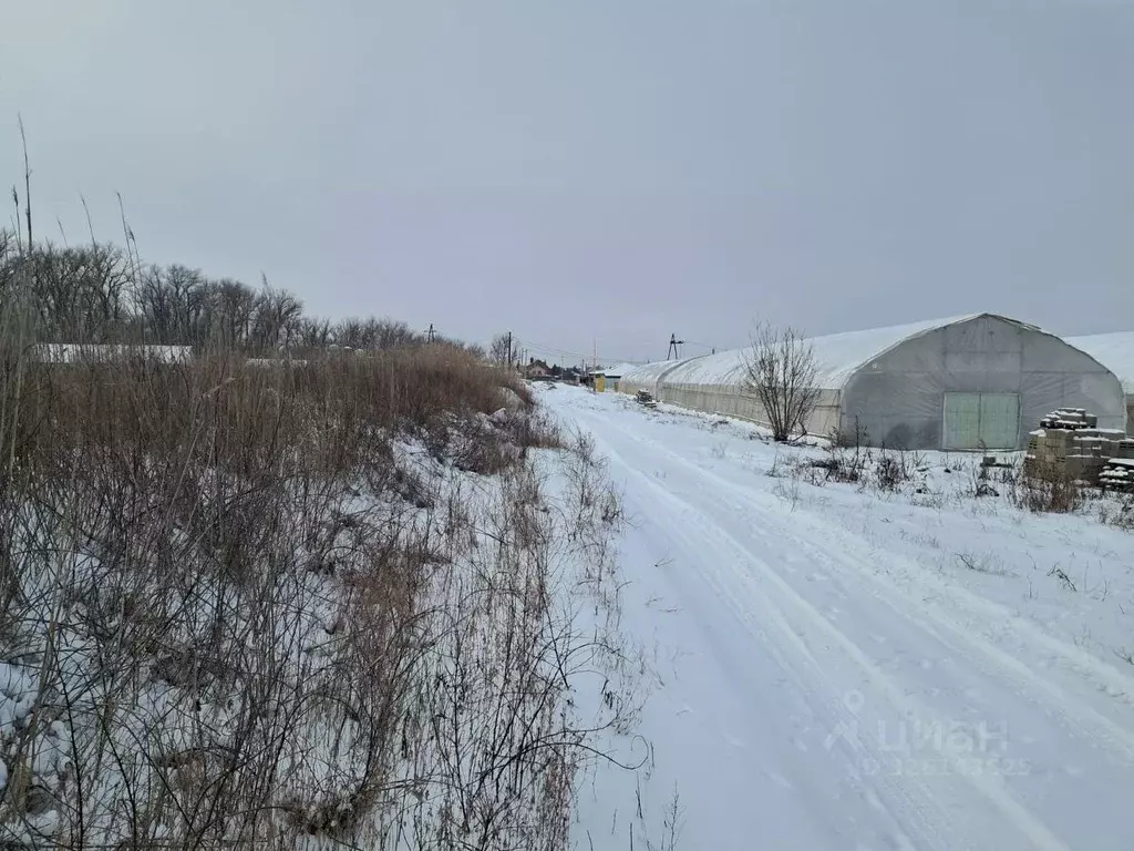 Участок в Волгоградская область, Средняя Ахтуба рп ул. Пойменная (6.0 ... - Фото 2