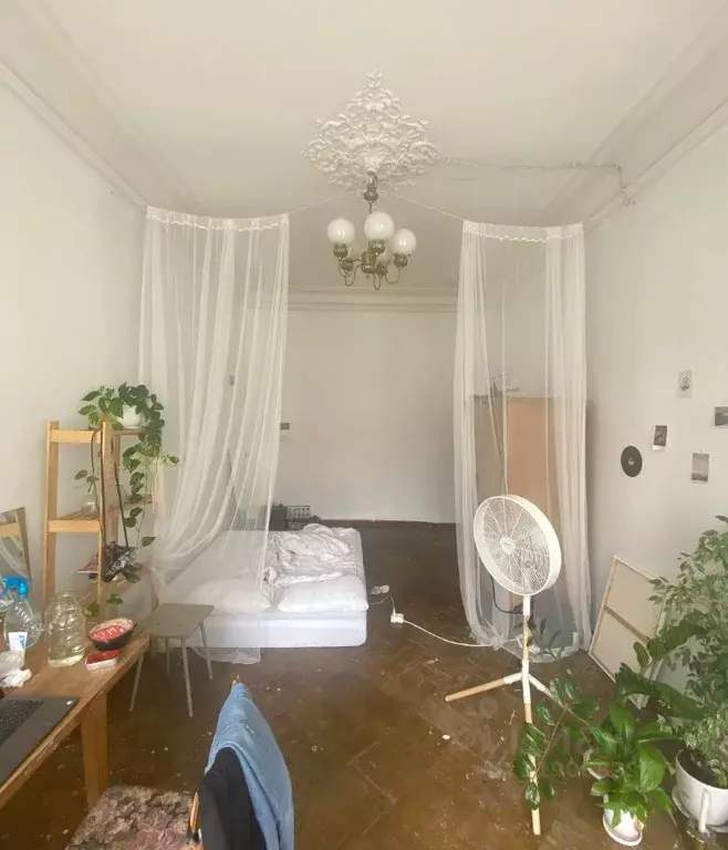 Комната Санкт-Петербург Рузовская ул., 5 (20.0 м) - Фото 0