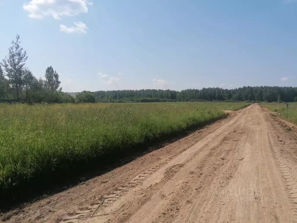 Участок в Московская область, Дмитровский городской округ, Раменье дп  ... - Фото 1