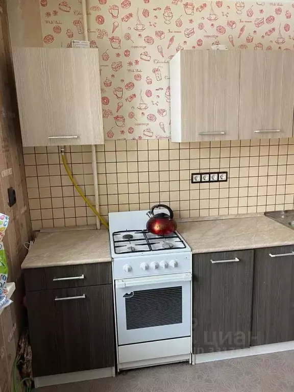 1-к кв. Оренбургская область, Оренбург ул. Терешковой, 249 (33.0 м) - Фото 1