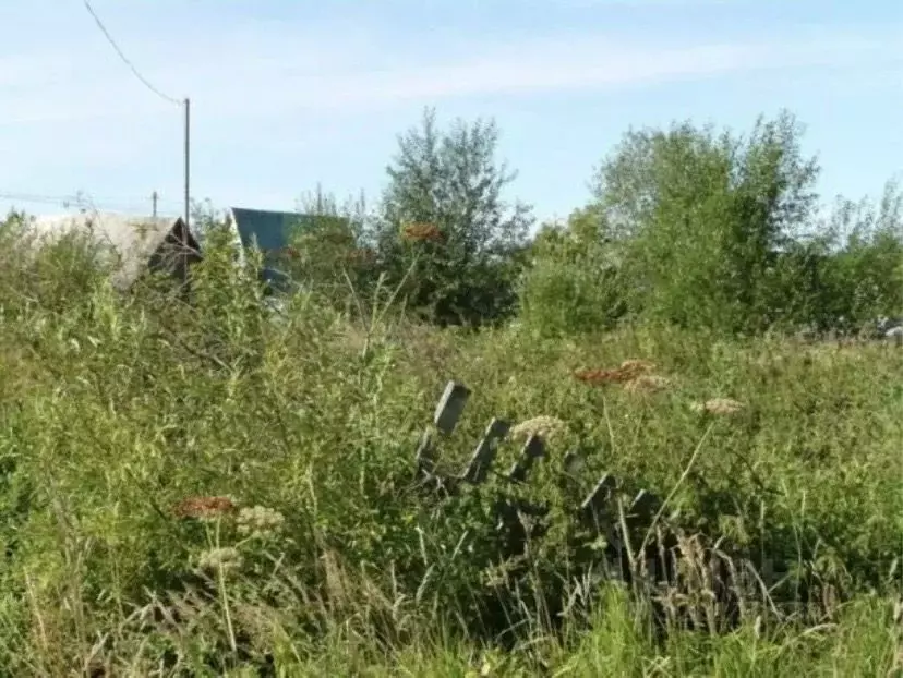 Участок в Нижегородская область, Лукояновский муниципальный округ, с. ... - Фото 1
