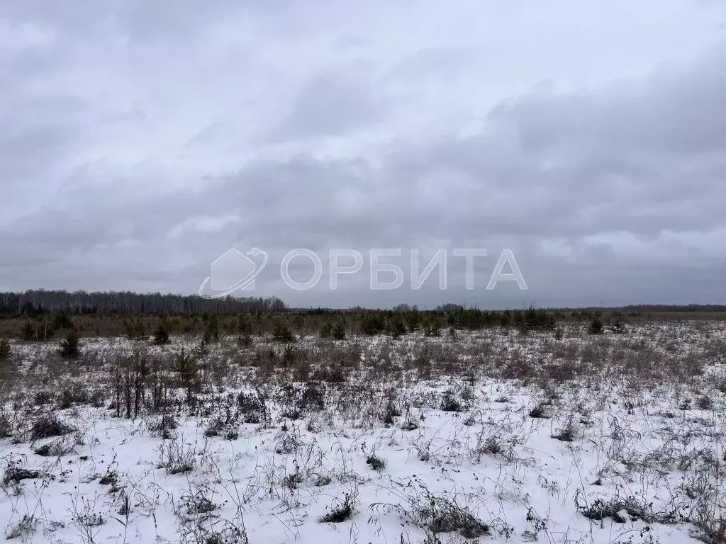 Участок в Тюменская область, Тюменский муниципальный округ, ... - Фото 2