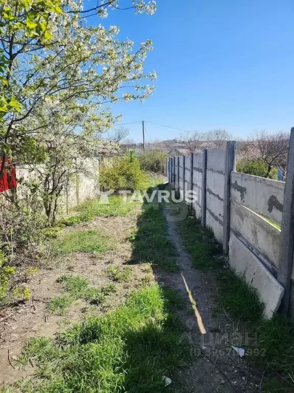 Участок в Севастополь Ветеран садоводческое товарищество, 82 (4.8 ... - Фото 1