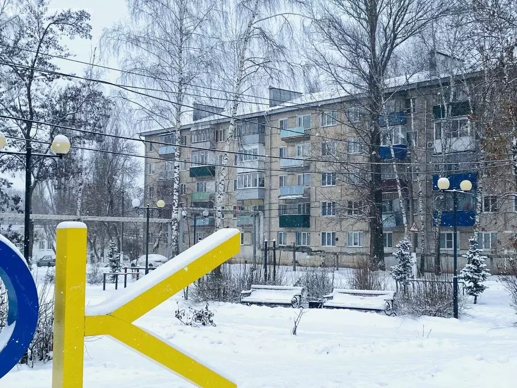 1-комнатная квартира: село Чемодановка, Фабричная улица, 6 (28.8 м) - Фото 1