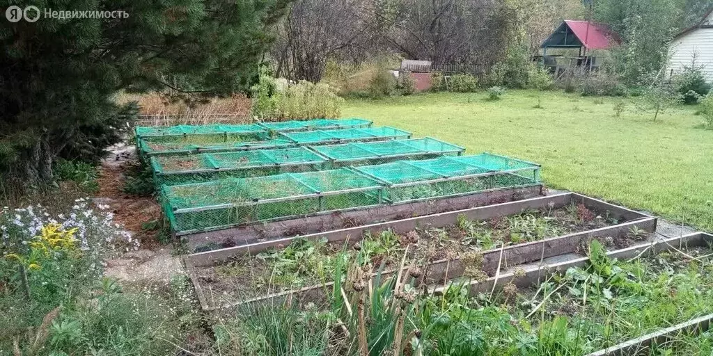 Дом в Томск, СТ Кедр (30 м) - Фото 1