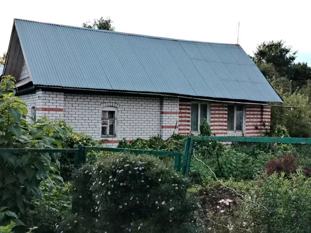 Дом в Нижегородская область, Нижний Новгород городской округ, с. Шава ... - Фото 1