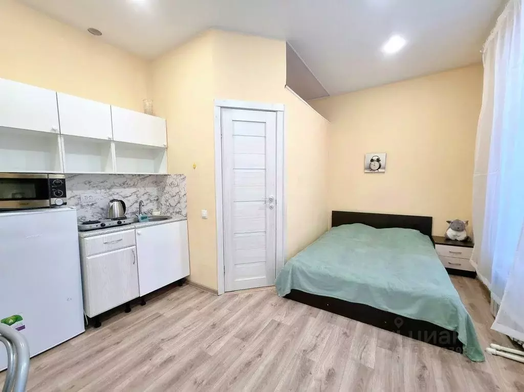 Студия Санкт-Петербург Арктическая ул., 44 (25.0 м) - Фото 1