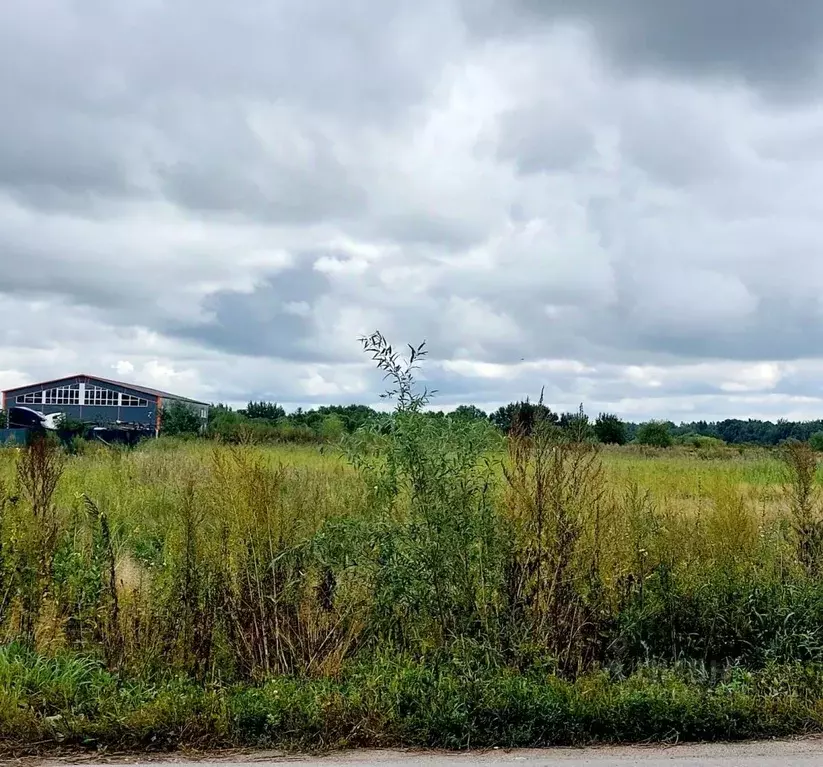 Участок в Хабаровский край, Хабаровский район, Тополевское с/пос, с. ... - Фото 1