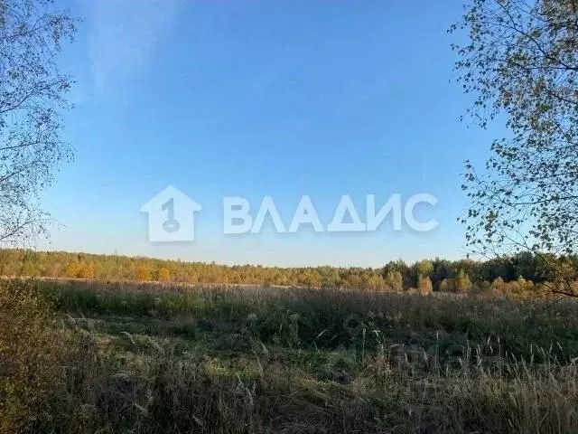 Участок в Владимирская область, Камешковский район, Второвское ... - Фото 0