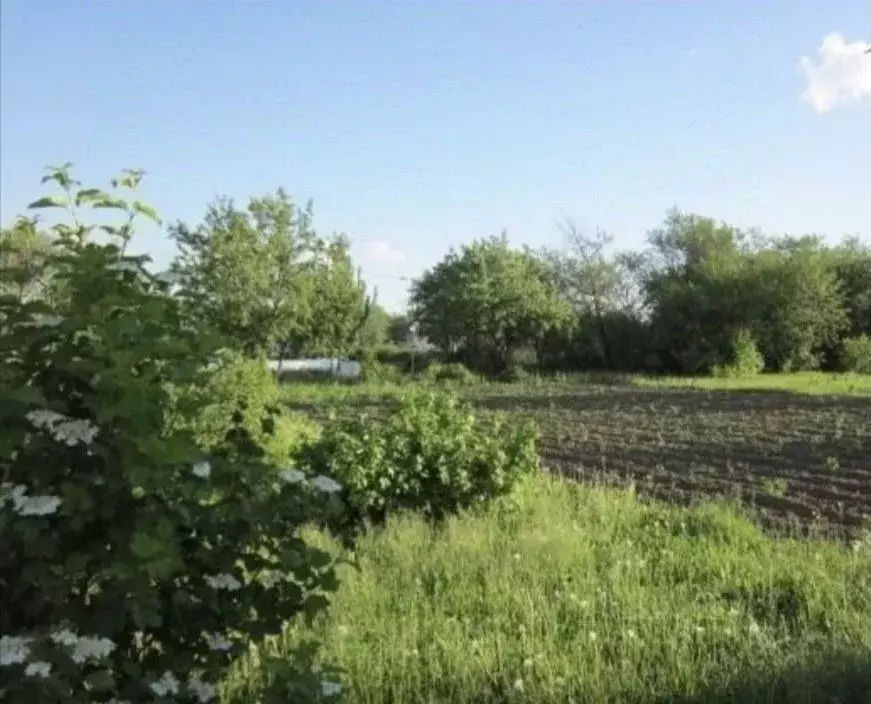 Участок в Владимирская область, Суздальский район, с. Новоалександрово ... - Фото 0