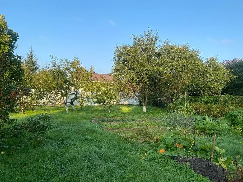 Участок в Москва д. Руднево, ул. Луговая, 31 (15.0 сот.) - Фото 1