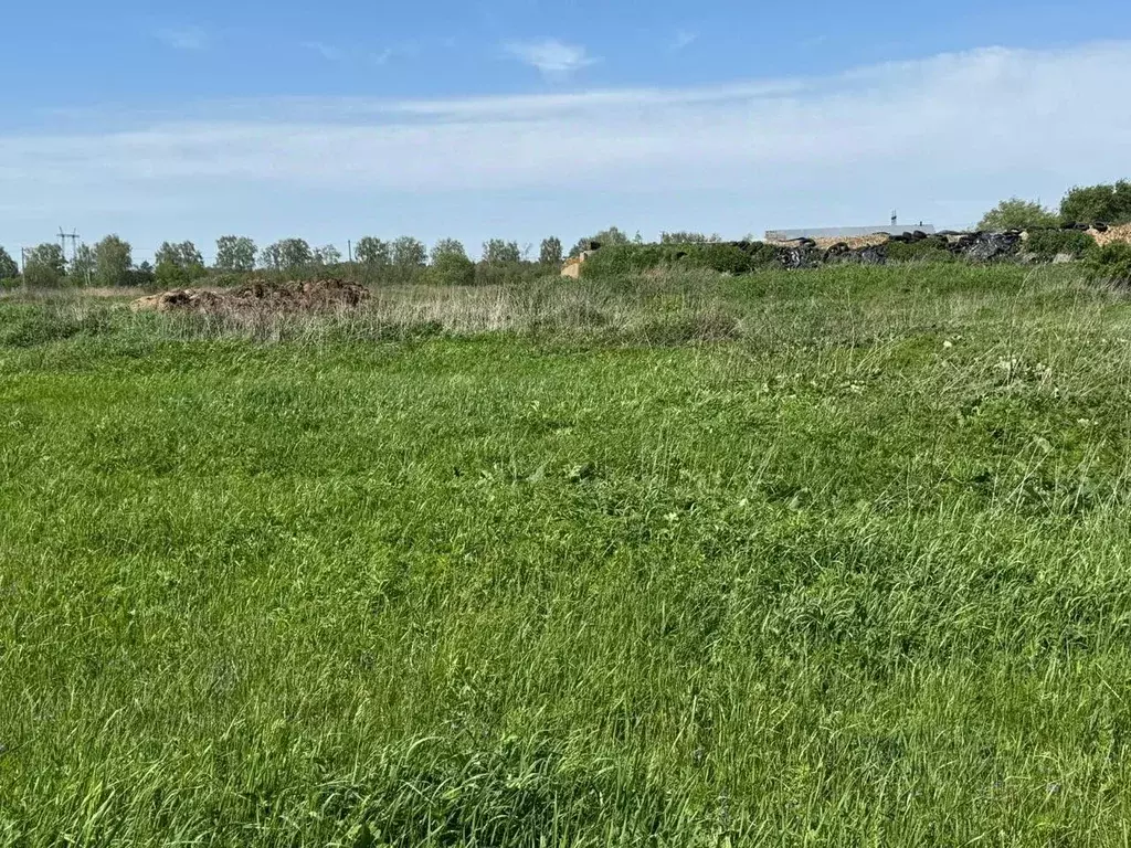 Участок в Московская область, Богородский городской округ, д. Ново  ... - Фото 0