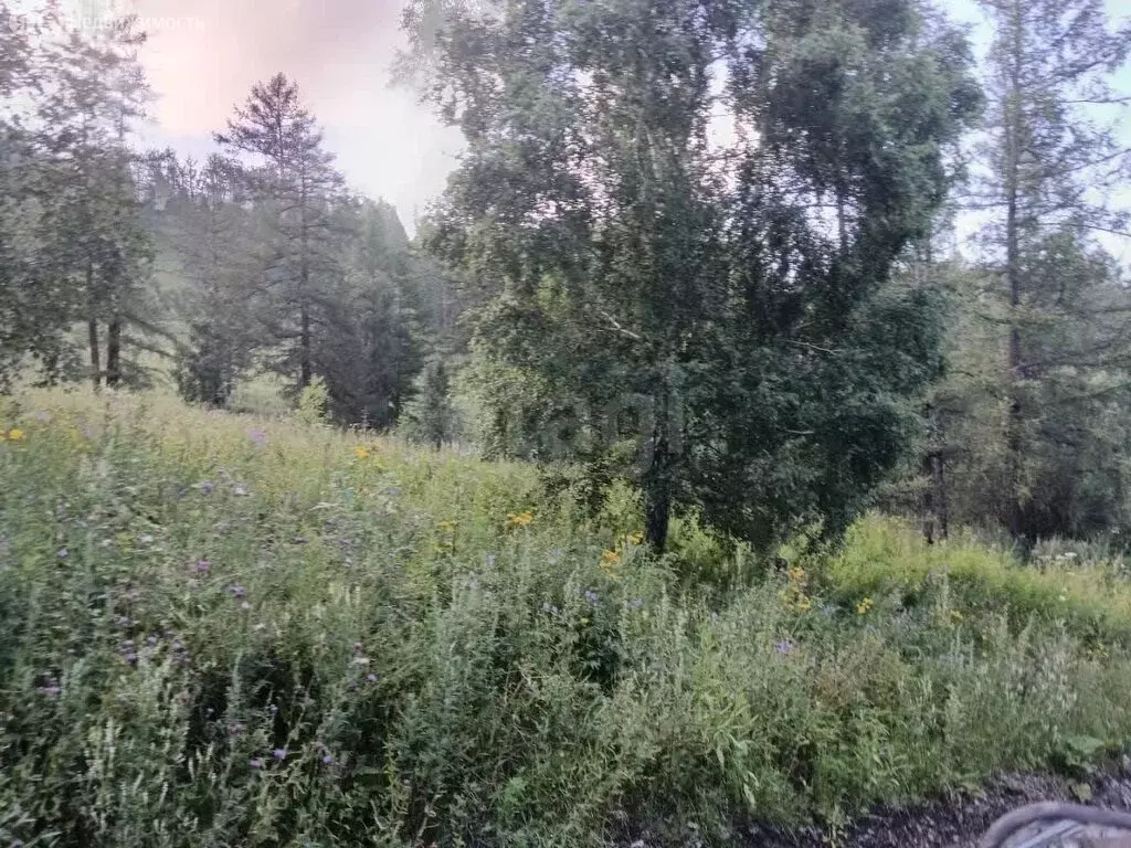 Участок в Шебалинский район, село Малая Черга (10 м) - Фото 1