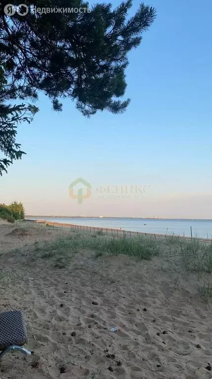 Участок в Рахьинское городское поселение, деревня Коккорево (8.2 м) - Фото 0