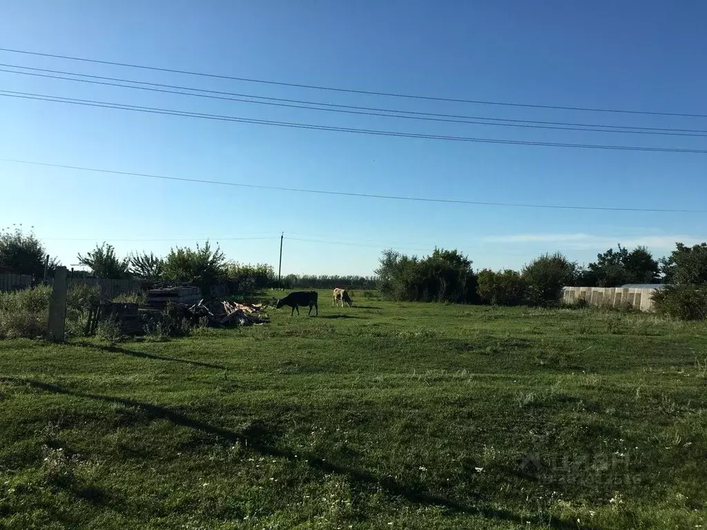 Участок в Воронежская область, Новоусманский район, с. Орлово ул. ... - Фото 0