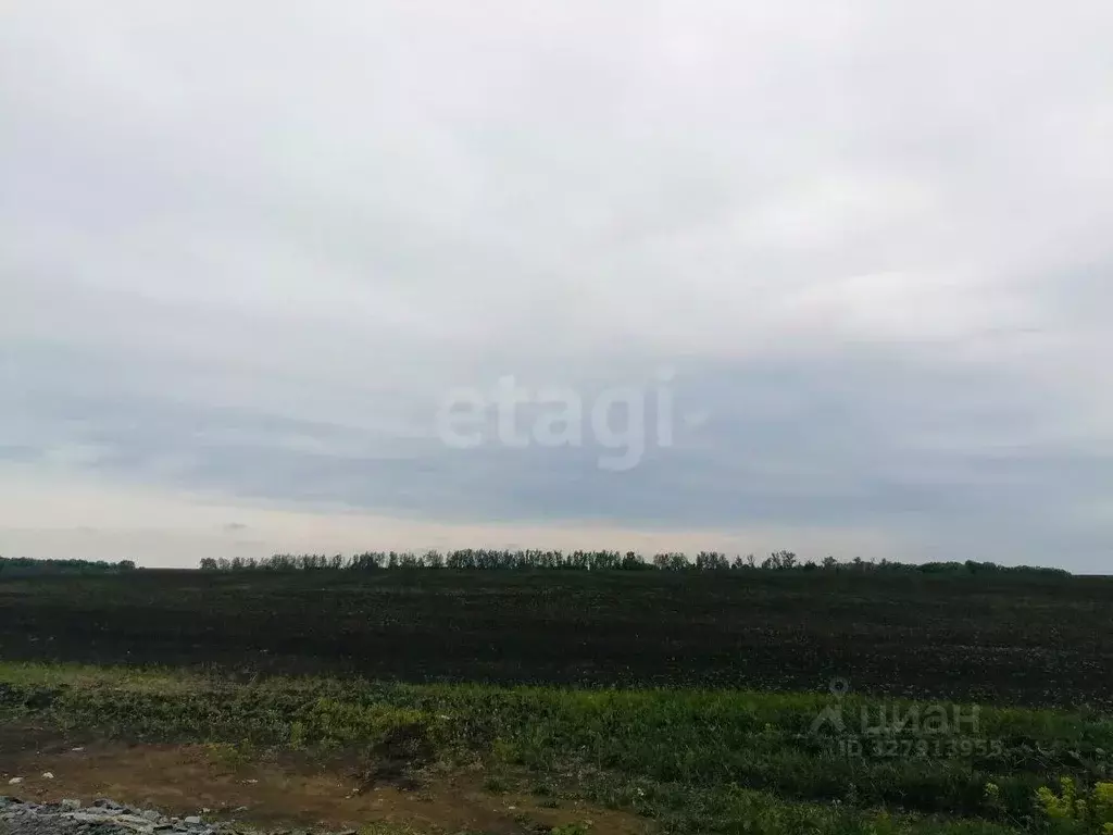 Участок в Белгородская область, Белгородский район, Головинское с/пос, ... - Фото 2