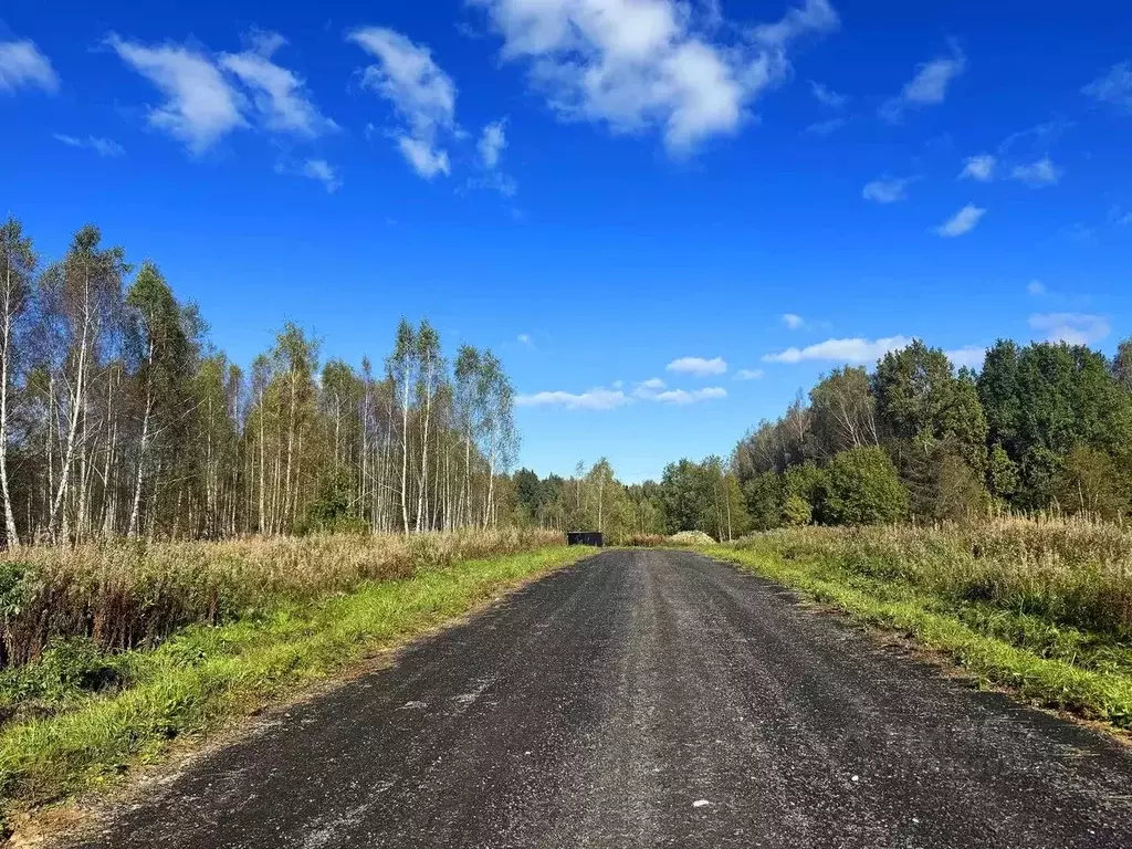 Участок в Московская область, Дмитровский муниципальный округ, Сбоево ... - Фото 1