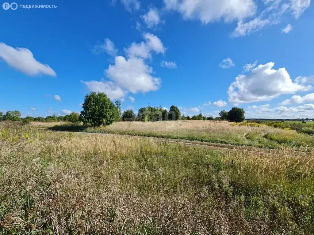 Участок в село Слободище, Школьная улица (25.2 м) - Фото 0