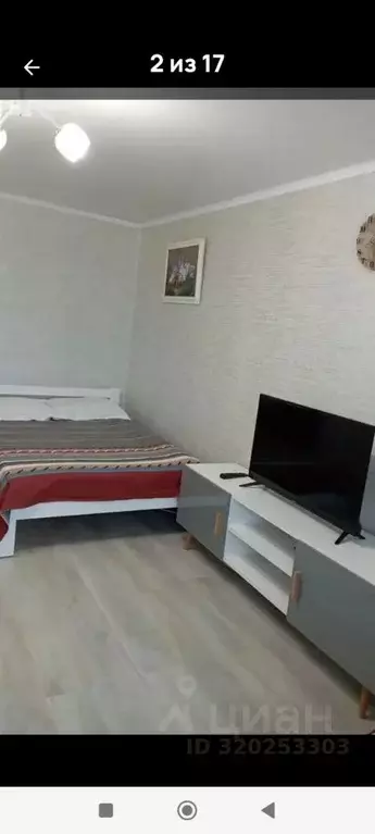 1-к кв. Калининградская область, Гусев ул. Менделеева, 4 (30.0 м) - Фото 2