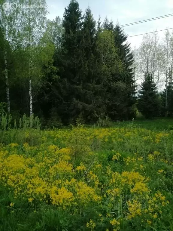 Участок в Ярославский муниципальный округ, Кузнечихинское сельское ... - Фото 1