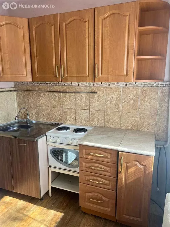 1-комнатная квартира: село Чигири, 1-я Тепличная улица, 24 (26 м) - Фото 0