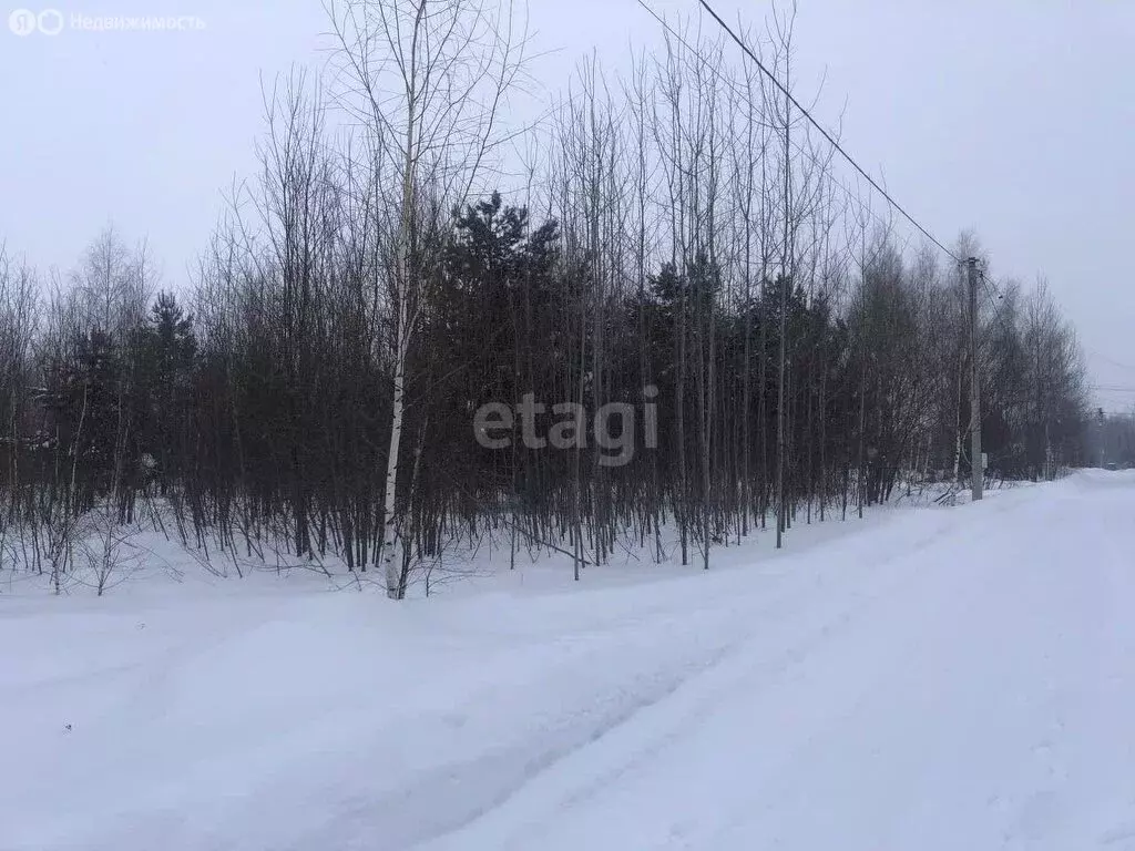 Участок в Камско-Устьинский район, посёлок городского типа ... - Фото 1