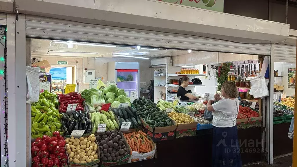 Помещение свободного назначения в Краснодарский край, Сочи ул. ... - Фото 1