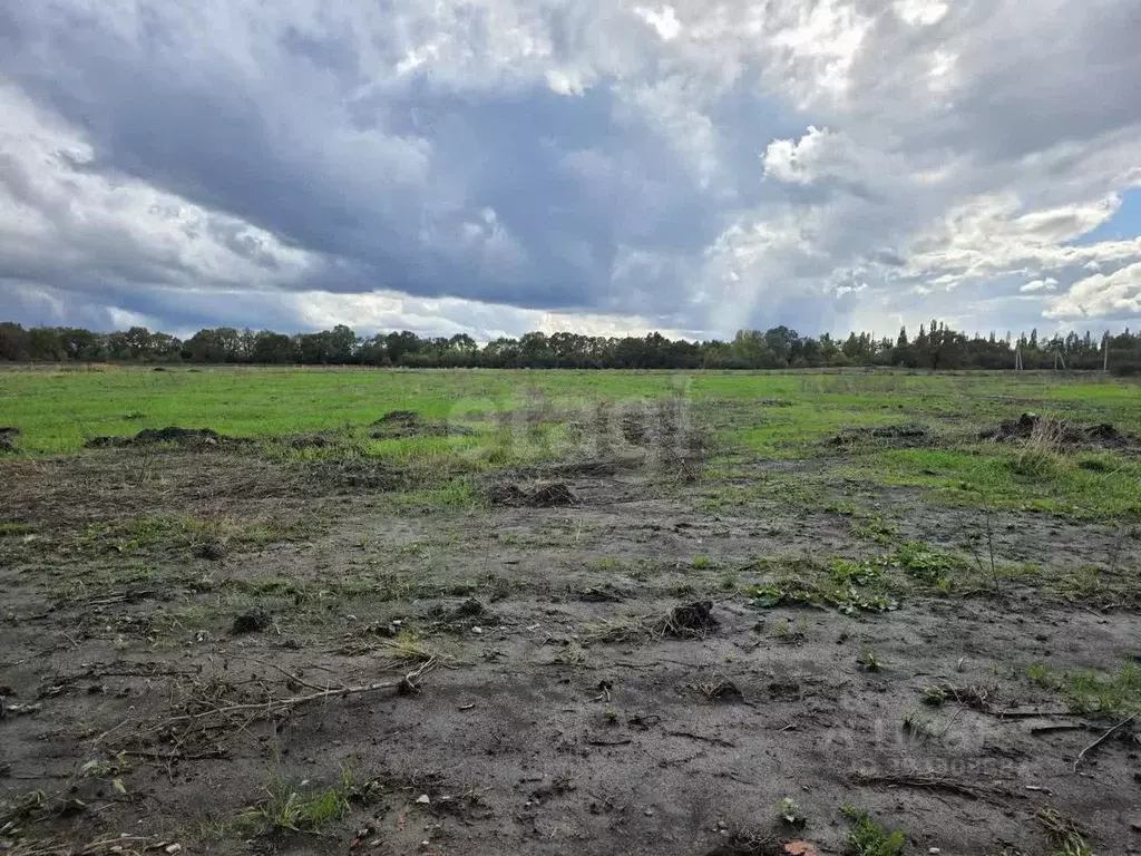 Участок в Адыгея, Теучежский район, Пчегатлукайское с/пос, Адыгея ... - Фото 2