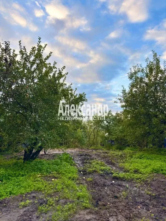Участок в Ленинградская область, Кировский район, Мгинское городское ... - Фото 1