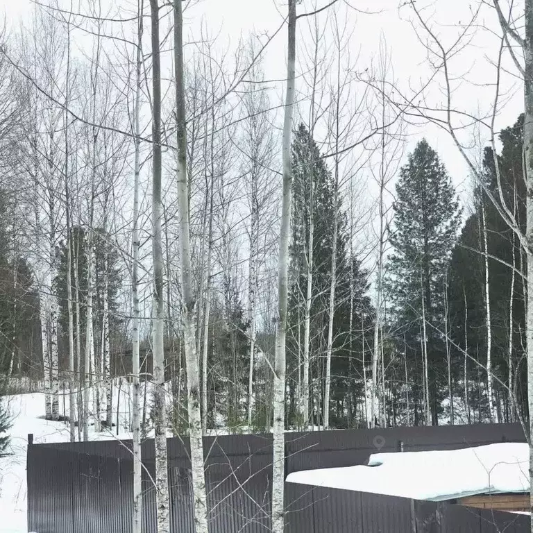 Участок в Ханты-Мансийский АО, Ханты-Мансийск Белка СОТ,  (9.0 сот.) - Фото 0