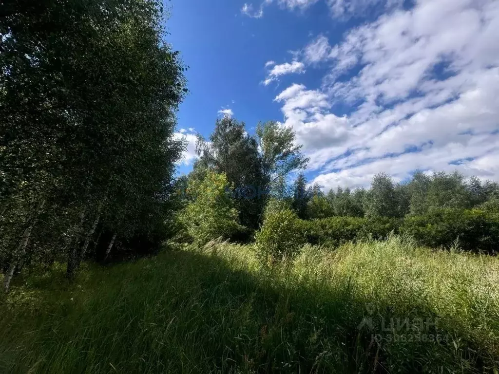 Участок в Нижегородская область, Кстовский муниципальный округ, с. ... - Фото 0