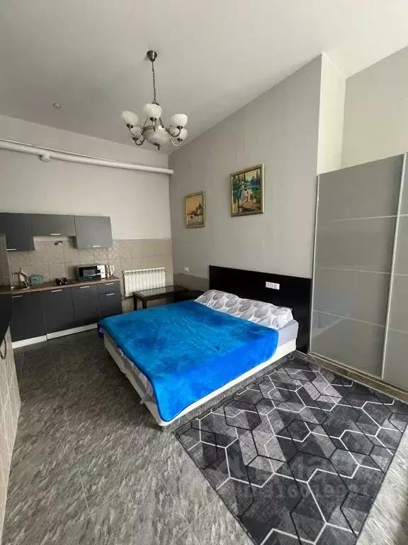 Студия Краснодарский край, Сочи Бриз СНТ, 54 (30.0 м) - Фото 0
