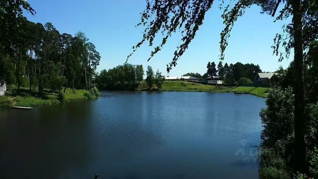 Участок в Ивановская область, Ивановский муниципальный округ, д. ... - Фото 1