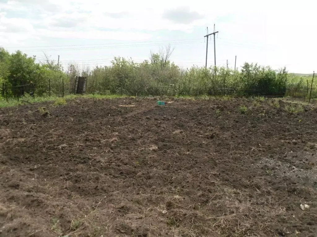 Участок в Саратовская область, Калининский район, Озерское ... - Фото 2