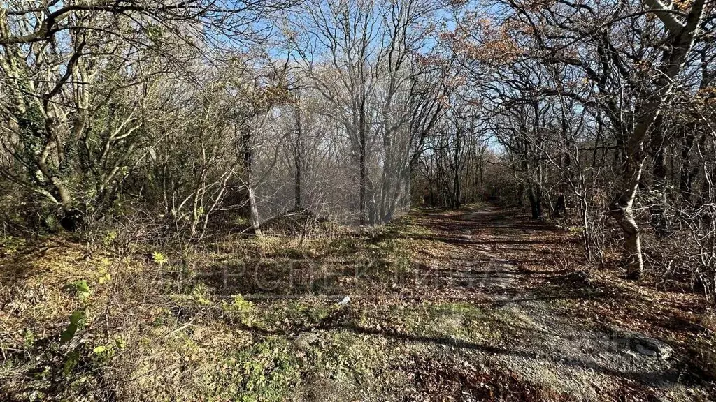 Участок в Краснодарский край, Новороссийск городской округ, ... - Фото 2