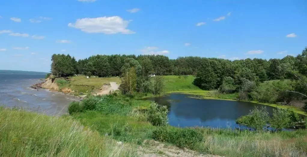 Участок в Пензенская область, Шемышейский район, с. Старая Яксарка  ... - Фото 1