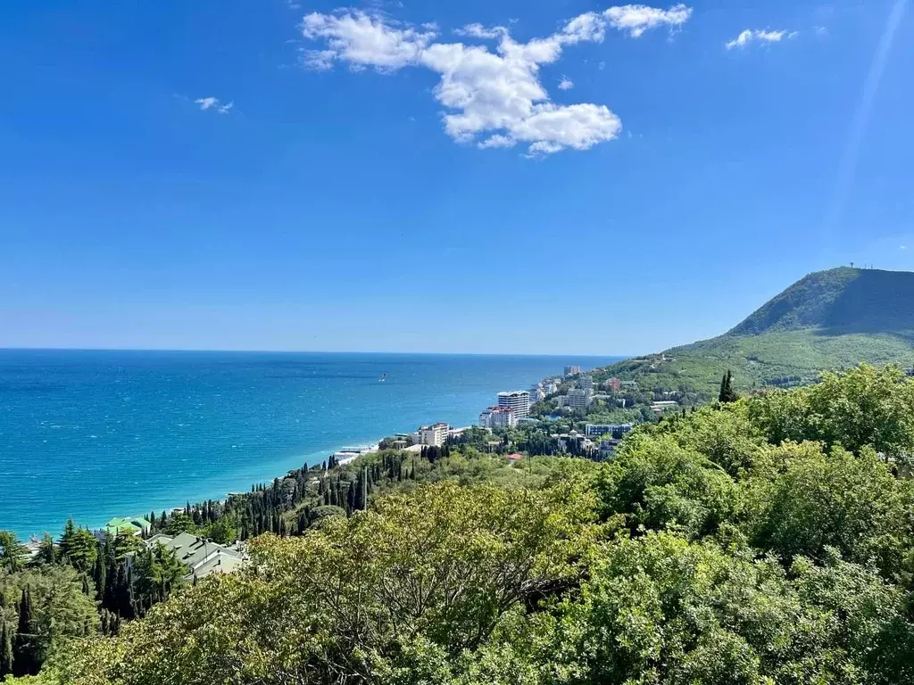 Студия Крым, Алушта ул. Чатырдагская, 1А (49.4 м) - Фото 0
