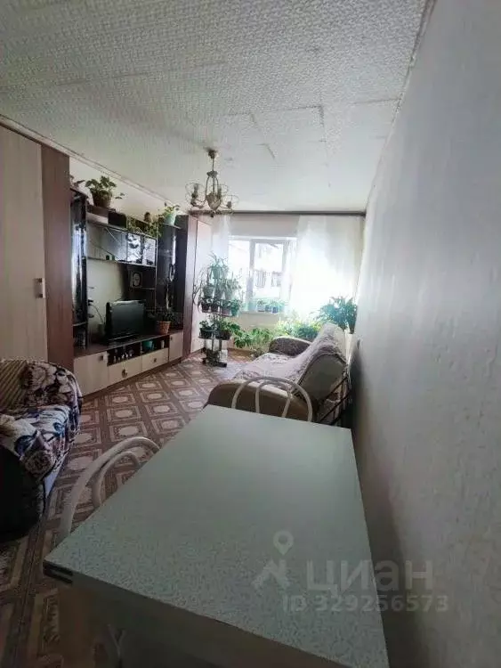Студия Иркутская область, Иркутск Пограничный пер., 1б (23.5 м) - Фото 2