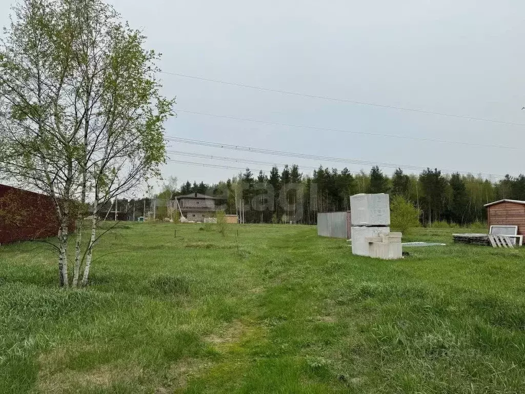 Участок в Московская область, Балашиха городской округ, с. Новый ... - Фото 0