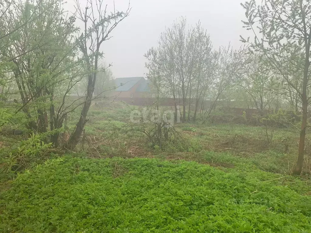 Участок в Сахалинская область, Долинск ул. Кирова (18.6 сот.) - Фото 0