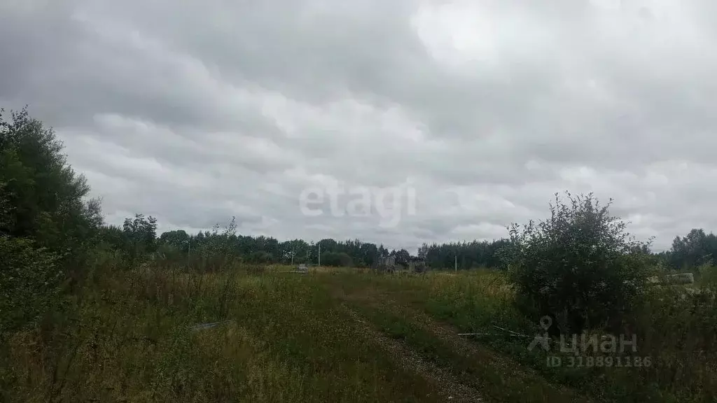 Участок в Хабаровский край, Хабаровский район, с. Краснореченское  ... - Фото 1