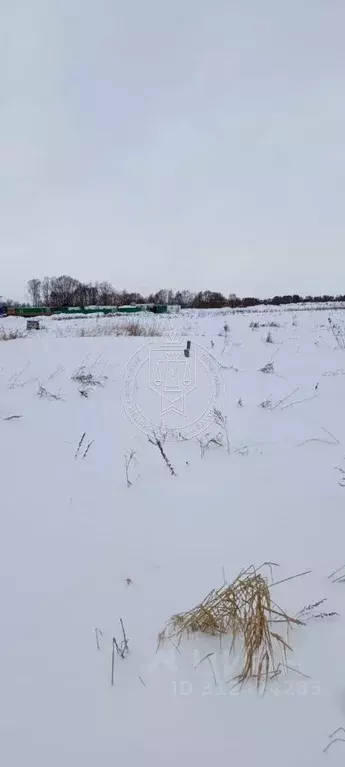 Участок в Татарстан, Лаишевский район, Егорьевское с/пос, д. Зимняя ... - Фото 1