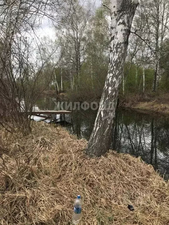 Дом в Новосибирская область, Новосибирский район, Кубовинский ... - Фото 0