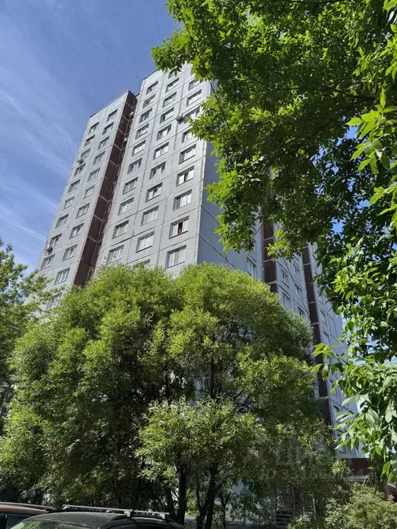 Комната Санкт-Петербург ул. Маршала Казакова, 24К1 (34.6 м) - Фото 1