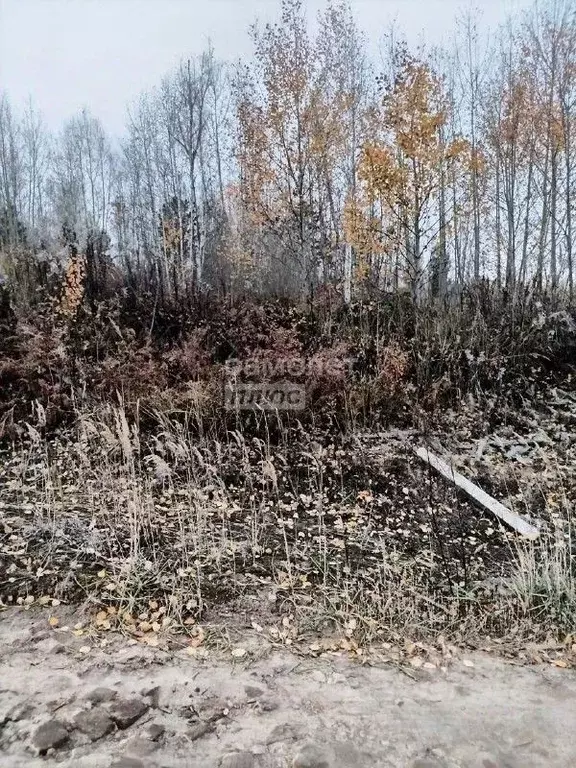 Участок в Иркутская область, Иркутский муниципальный округ, с. ... - Фото 2