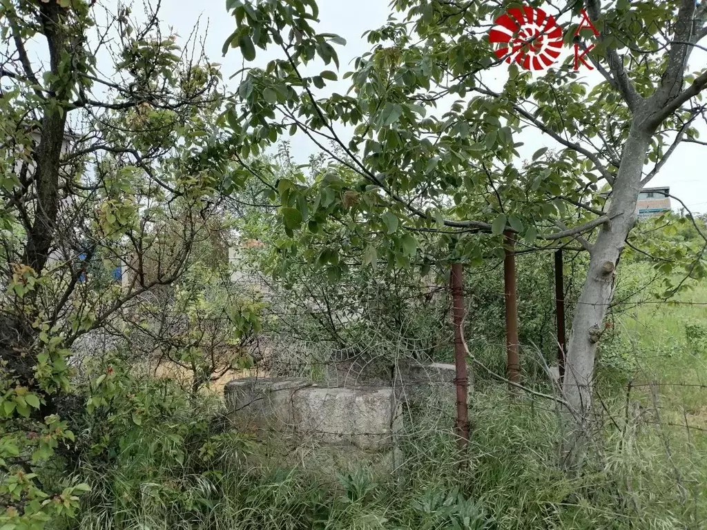 Участок в Крым, Феодосия муниципальный округ, Приморский пгт, ТСН ... - Фото 2