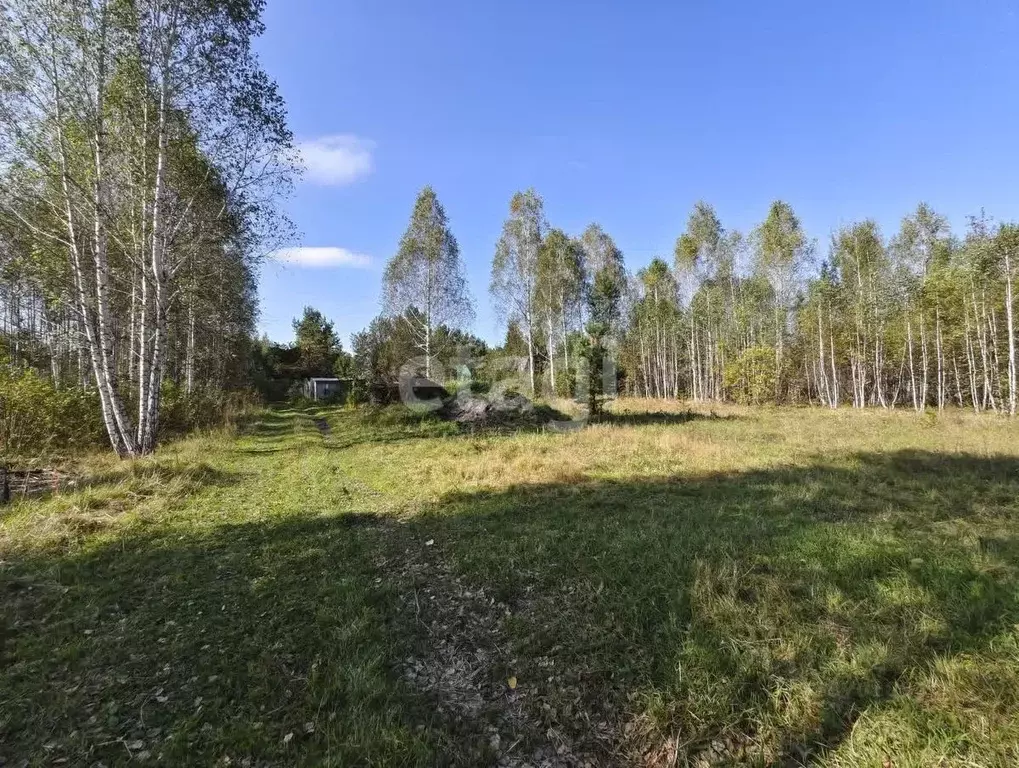 Участок в Тюменская область, Нижнетавдинский район, Кооператор СПК  ... - Фото 0